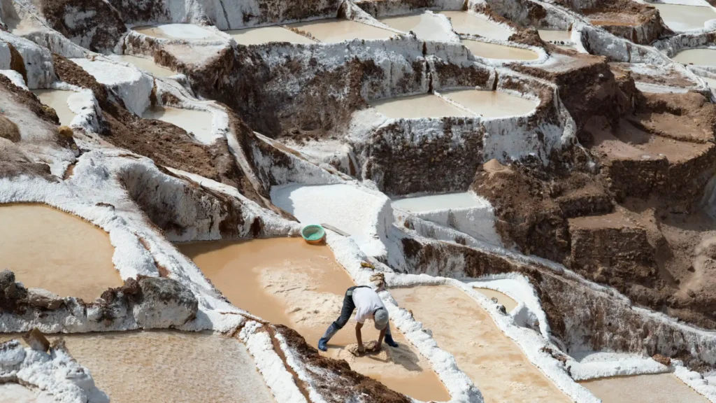 TOUR MARAS, MORAY Y SALINERAS
