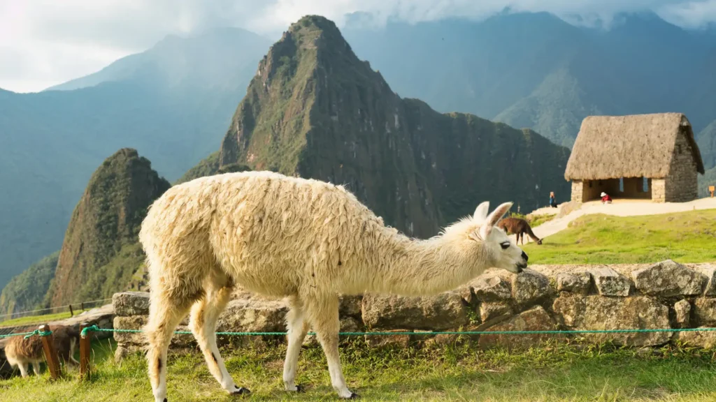 MACHU PICCHU & SACRED VALLEY – 2 DAYS / 1 NIGHT